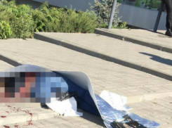 Убийца ростовчанки на Нансена рассказал о причинах кровавой расправы