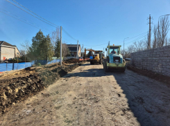 Реконструкцию Вавилова в Ростове планируют завершить в 2025 году 