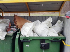 Половина контейнерных площадок в Ростове завалена строительным мусором и ветками