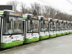 Стали известны номера маршрутов-счастливчиков, которые сохранят до 2021 года в Ростове