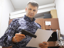 У жителей Ростовской области в этом году изъяли 2625 единиц оружия