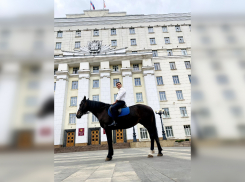 Депутат Заксобрания Ростовской области во Всемирный день без автомобиля приехал на работу на коне