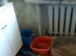 Адские условия жизни в доме с обвалившимся потолком показали на видео жители Ростова