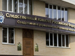 Следком заинтересовался видеороликом с жестокой матерью из Ростова