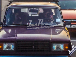 Изголодавшиеся овчарки прикатили за продуктами в «Ленту» на собственной машине