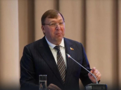 Учителя высмеяли спикера Заксобрания Ростовской области Ищенко