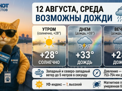 Погода в Ростове-на-Дону 12 августа: тепло, но с дождем