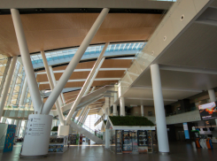 Ограничения на полеты из ростовского аэропорта «Платов» продлили до 2 октября 