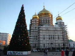Новогодняя ель на Соборном обойдется городской казне более чем в два миллиона