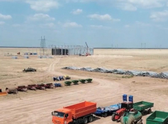 Ростовское отделение Сбербанка профинансировало возрождение рисоводства на Юге России