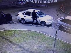 В Ростове дебошир разбил несколько автомобилей в «Суворовском»