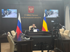 Чиновники занимают первое место по коррупционным преступлениям в Ростовской области — МВД