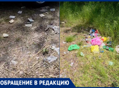 Отдыхающие оставили после себя горы мусора на Зеленом острове
