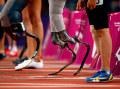 В бюджете не хватает денег вывозить на соревнования ростовских паралимпийцев