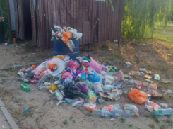 Жители Азова пожаловались на мусор на Центральном пляже