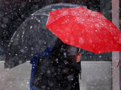 Снежной и теплой выдастся середина рабочей недели для жителей Ростова