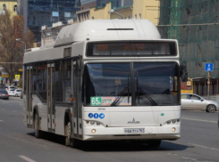 Перевод автобусов Ростова на брутто-контракты обойдется в 2,5 млрд рублей