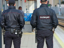 На войну против бабушек с петрушкой вышли чиновники и полиция в Ростове