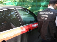 В Ростовской области осудят мужчину, который до смерти забил молотком свою бабушку 