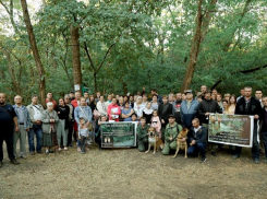 Голубев пообещал запретить застройку на месте рощи СКА в Ростове