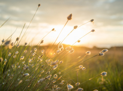 В Ростове в субботу будет ветрено, но тепло