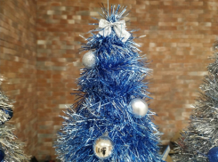 Ростовчанам рассказали, как правильно выбрать елку