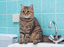 Центр Ростова останется без воды 13 сентября