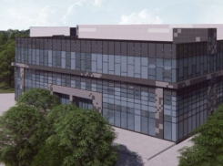 Власти Ростова-на-Дону ответили на обвинение в уничтожении деревьев в парке Островского 