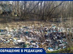 Ростовчанка пожаловалась на стихийные свалки на Зеленом острове
