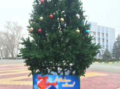 Жадные до «халявных безделушек» горожане раздели главную новогоднюю красавицу под Ростовом 