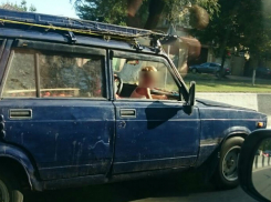 Лихого водителя с рискующим выпасть из салона ребенком попросили остановить неравнодушные ростовчане