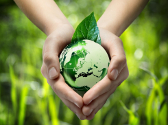 В Ростовской области для участия в конкурсе экологических рисунков подали более 800 заявок