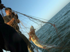 Убегая от погони на лодке, отчаянный рыбак проломил румпелем голову полицейскому в Ростове