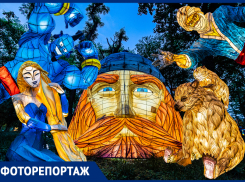 Великан и избушка Бабы Яги: как в Ростове проходит выставка «Фестиваль Волшебных Огней»
