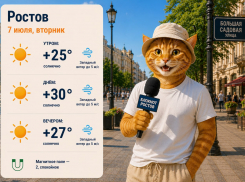 Погода в Ростове-на-Дону 7 июля: солнце весь день и жара до +30
