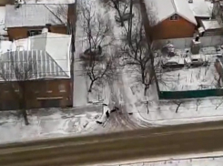 Нападение своры бездомных собак на девушку в Ростове попало на видео