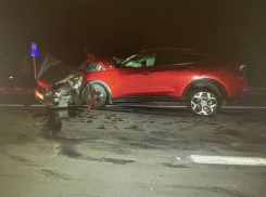 В Ростовской области в ДТП погиб 38-летний водитель и четыре пассажира пострадали