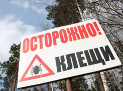 В Ростовской области зарегистрировано три случая заболевания крымской геморрагической лихорадкой: один человек погиб