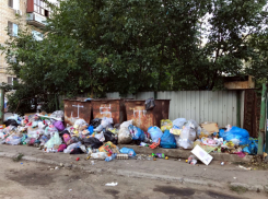 Огромная зловонная свалка заполнила смрадом окрестности  детского сада в Ростовской области