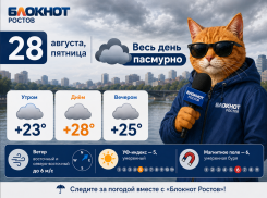 Погода в Ростове-на-Дону 28 августа: пасмурно и без осадков