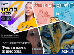 Смотрим гандбол, спешим на вечеринку в честь капибары и фестиваль шансона: куда пойти в Ростове на этой неделе