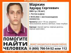 В Ростове больше месяца разыскивают 18-летнего парня