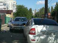 Двое упрямых автомобилистов исполнили роль «баранов на узком мосту» в Ростове