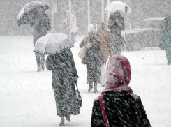 Мокрый снег, туман и сильный ветер обрушатся на Ростов в ближайшие сутки 