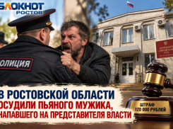 В Ростовской области осудили пьяного мужика, напавшего на представителя власти