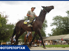 В Ростове прошел конный митинг в защиту ипподрома