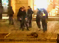 Ростовчане на белой иномарке сбили собаку в центре Ростова и смотрели на ее предсмертные муки