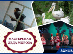 Дарим корону Золушке, кормим пеликанов и открываем Мастерскую Деда Мороза: куда пойти в Ростове на этой неделе