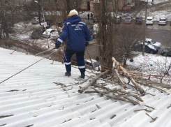 В Ростове на школу упало дерево