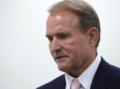 Крупнейший донской поставщик угля опроверг связь с опальным украинским бизнесменом и политиком Медведчуком